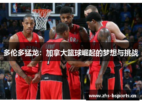 多伦多猛龙：加拿大篮球崛起的梦想与挑战